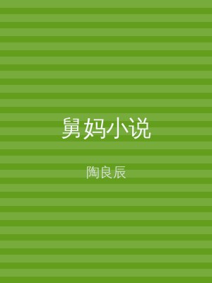 舅妈小说