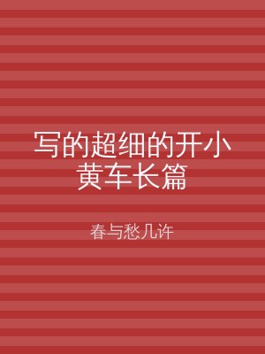 写的超细的开小黄车长篇