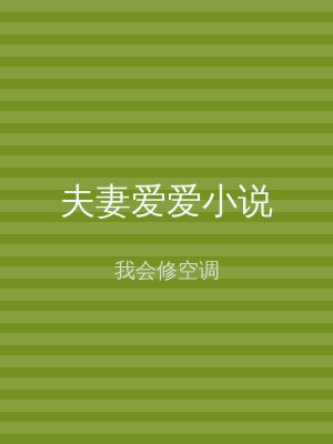 夫妻爱爱小说