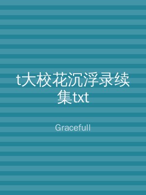 t大校花沉浮录续集txt