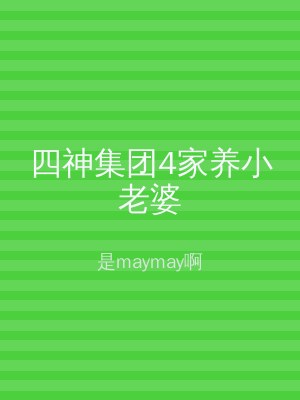 四神集团4家养小老婆