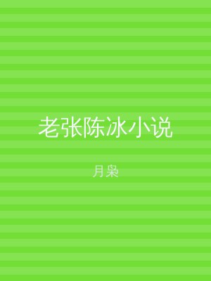 老张陈冰小说