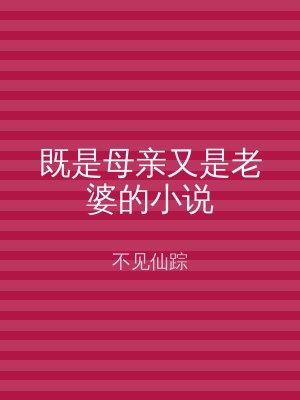 既是母亲又是老婆的小说