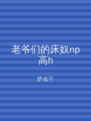 老爷们的床奴np高h
