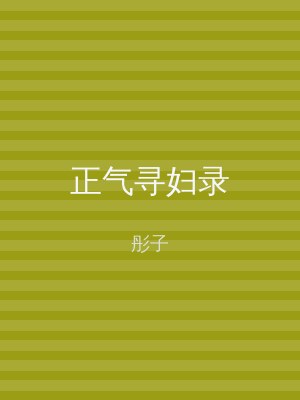 正气寻妇录