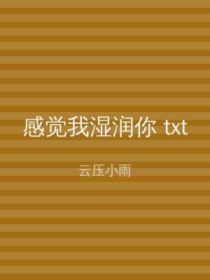 感觉我湿润你 txt