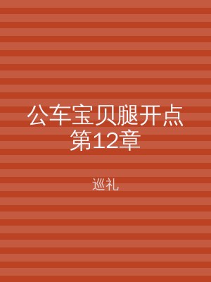 公车宝贝腿开点第12章