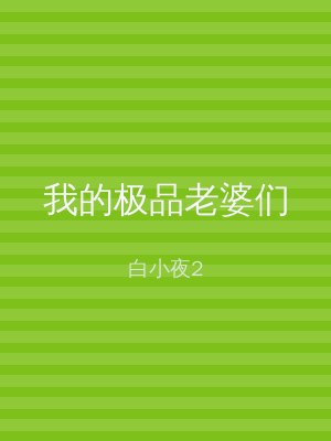 我的极品老婆们