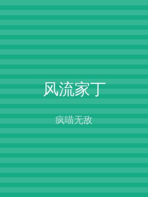 风流家丁