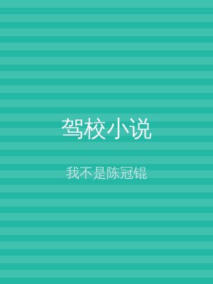 驾校小说