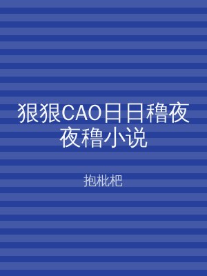狠狠CAO日日穞夜夜穞小说