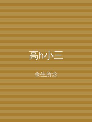 高h小三
