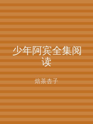 少年阿宾全集阅读