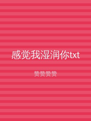 感觉我湿润你txt