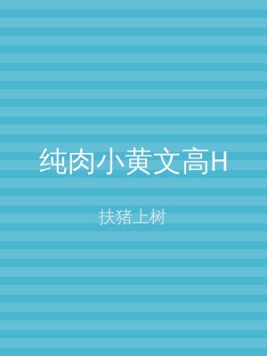 纯肉小黄文高H