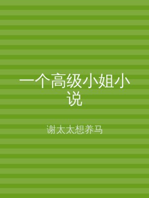 一个高级小姐小说