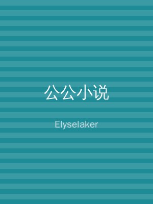 公公小说