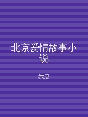 北京爱情故事小说