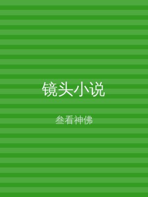 镜头小说