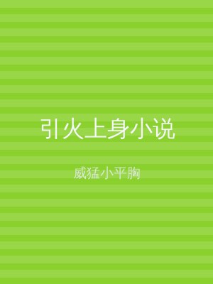 引火上身小说