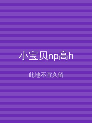 小宝贝np高h