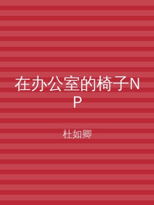 在办公室的椅子NP