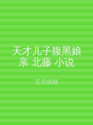 天才儿子腹黑娘亲 北藤 小说