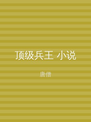 顶级兵王 小说