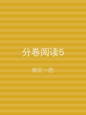 分卷阅读5