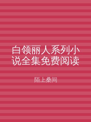 白领丽人系列小说全集免费阅读