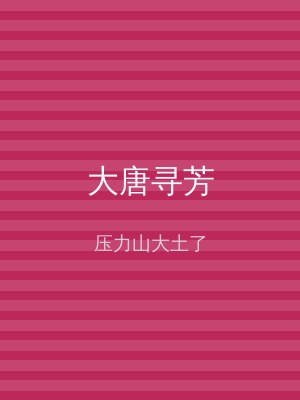 大唐寻芳